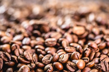 Arabika kahve çekirdekleri, Arabistan ya da Etiyopya 'dan bir tür doğal kahve. Leke odağı