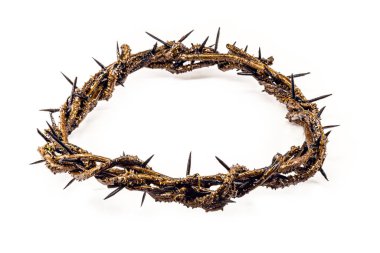 Dikenli gerçekçi taç, dikenli el yapımı, kuru dallar, beyaz arka plan. Yeniden doğuşun ve Paskalyanın Hıristiyan sembolü