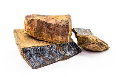 Kaplan gözü taşı, doğal, kesilmemiş, süslemeli ve ezoterik cevher, silize edilmiş canlı renklerde bir timsah.