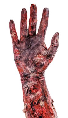 Beş parmaklı zombi eli, açık el, soyutlanmış beyaz arka plan, cadılar bayramı eli.