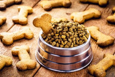 Kemik şeklinde köpek bisküvileri, bir kavanoz yiyecek, kırsal bir ortamda köpek bisküvileri, evcil hayvan besleme konisi.