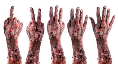 Zombi eli 5 'ten 1' e kadar sayıyor. Ölü ya da cadılar bayramı konsepti. İzole edilmiş beyaz arka plan.