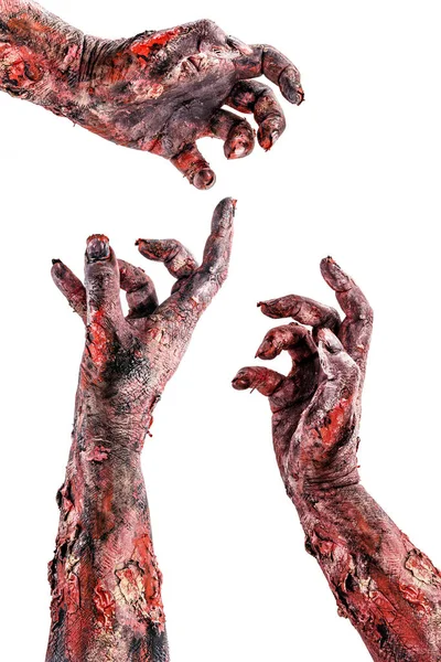 Zombie Ruce Sbírka Stoupající Nemrtvé Izolované Bílé Pozadí Pro Halloween — Stock fotografie
