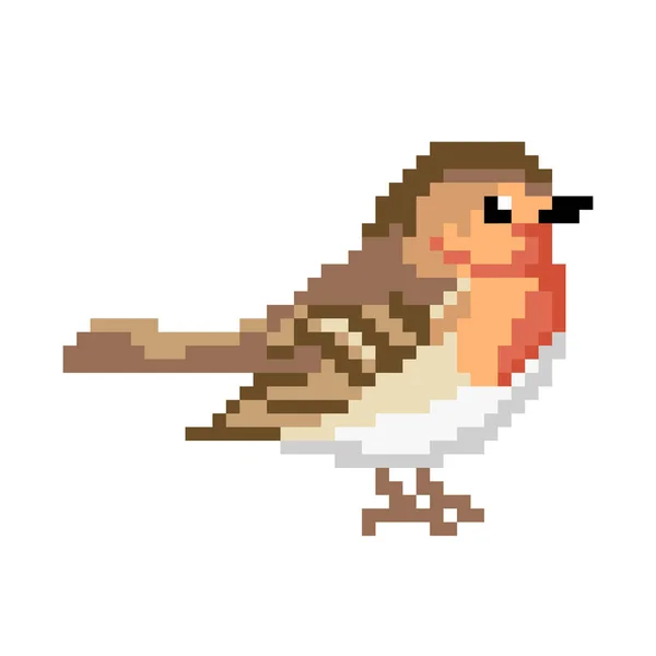 Uszczypnąć Ptaka Obraz Ptaka Pixel Pinch Bitowych Meczach Wzór Ściegu — Wektor stockowy