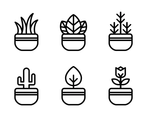 Conjunto Cactos Ícones Suculentos Incluído Ícones Como Planta Espinho Espiga —  Vetores de Stock