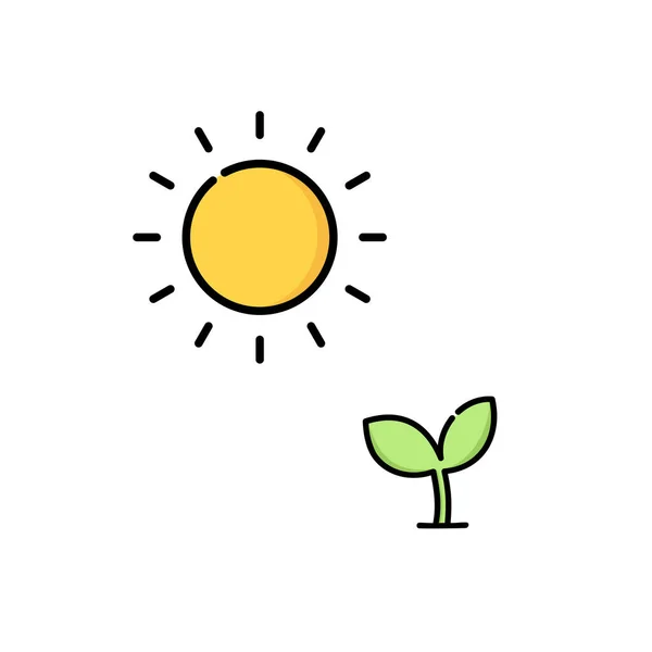 New Tree Seed Icon Sunshine Plant Seed Logo Vector Illustration — Stock Vector