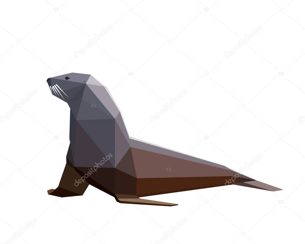 Walrus low poly images. Polygon logo animal vector illustration