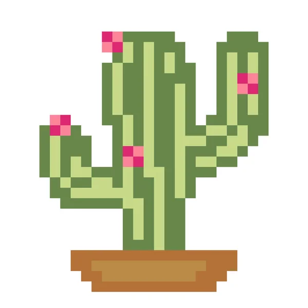 Kaktusz Patern Pixel Kaktusz Kép Vektor Pixelművészet Illusztrációja — Stock Vector