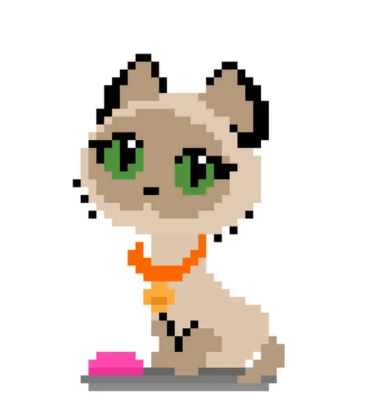 Pixel Siamesiska Katt Bild Vektor Illustration — Stock vektor