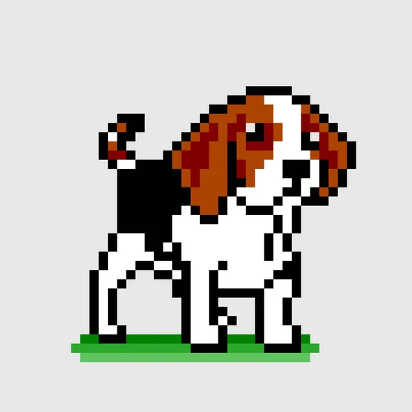 Pixel Beagle Puppy Image Vector Illustration Pixel Art — Stock Vector