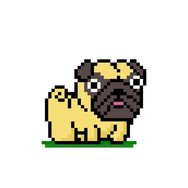 Pixel Boxer Dog 이미지 일러스트 — 스톡 벡터