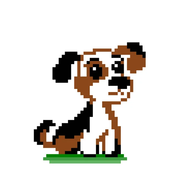 Pixel Beagle Welpenbild Vektor Illustration Der Pixelkunst — Stockvektor