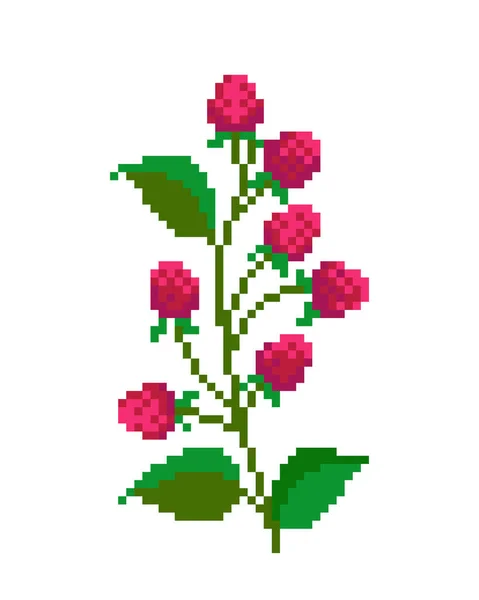 Imagem Pixel Flor Framboesa Cross Stitch Padrão Vetor Ilustração — Vetor de Stock