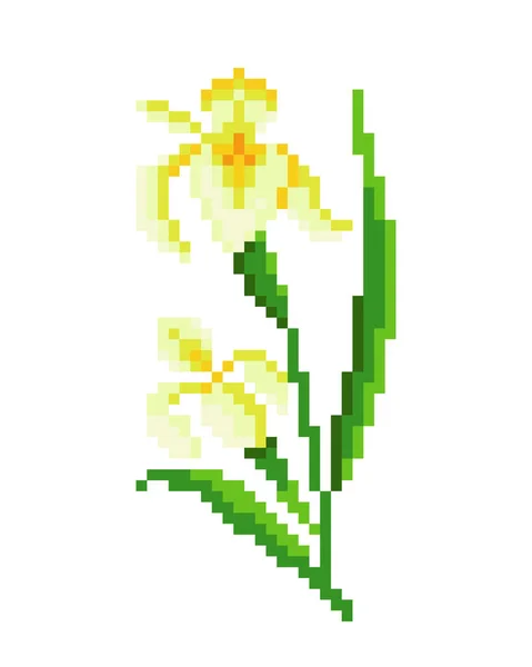 Imagem Flor Lírio Pixel Amarelo Cross Stitch Padrão Vetor Ilustração —  Vetores de Stock