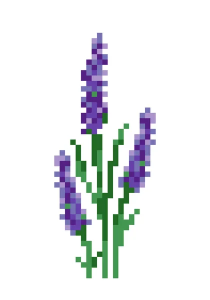 Bild Der Pixel Lavendelblüte Vektorillustration — Stockvektor