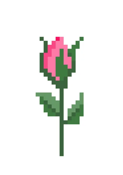 Patrón Rosa Roja Pixel Rosa Flor Imagen Ilustración Vectorial — Vector de stock