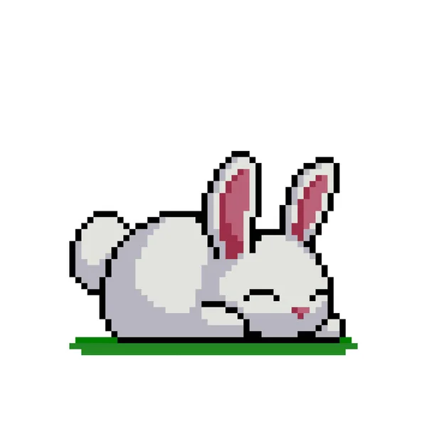 Image Lapin Pixel Pour Des Actifs Jeu Bits Modèle Point — Image vectorielle