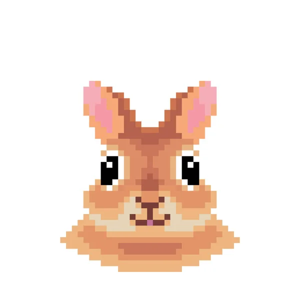 Image Lapin Pixel Pour Des Actifs Jeu Bits Modèle Point — Image vectorielle