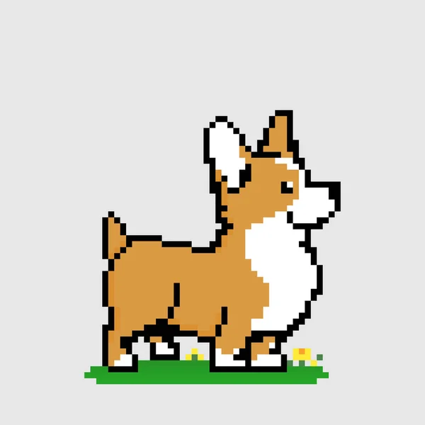 Image Pixel Corgi Puppy Game Asset Vector Illustration — Stock Vector