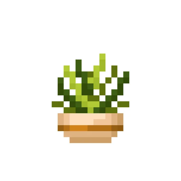 Zamatos Öltés Minta Pixel Mini Kaktusz Kép Vektor Illusztráció Bites — Stock Vector
