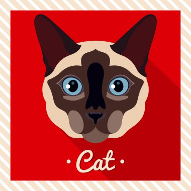 Vektör bir Siyam kedisi portresi. Hayvanlar simetrik portreleri. Vektör çizim, tebrik kartı, poster. Simge. Hayvan yüz. Font yazıt. İmge-in a cats yüz.