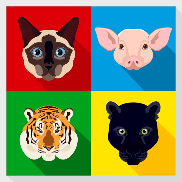 Set de animales con diseño plano. Retratos simétricos de animales. Ilustración vectorial. Siamés, gato, pantera, tigre, cerdo. Un conjunto de retratos vectoriales simétricos animales. Set de iconos. Cara animal . — Vector de stock