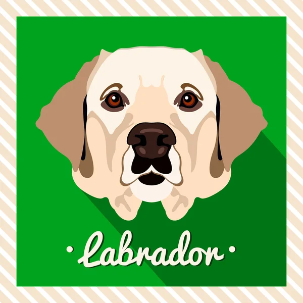 Vector portret van een labrador hond. Symmetrische portretten van dieren. Vector illustratie, wenskaart, affiche. Pictogram. Dierlijke gezicht. Lettertype inscriptie. Afbeelding van een dog's gezicht. — Stockvector