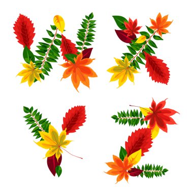 Set of autumn letters composed of beautiful red, yellow, green and orange leaves. Autumn alphabet. W, X, Y, Z. Set autumn letters. Letters from the leaves.