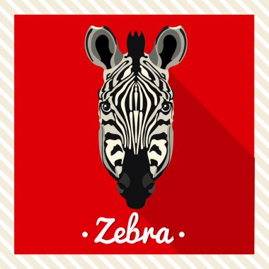 Bir zebra vektör portresi. Hayvanlar simetrik portreleri. Vektör çizim, tebrik kartı, poster. Simge. Hayvan yüz. Font yazıt. Zebranın yüz görüntü.