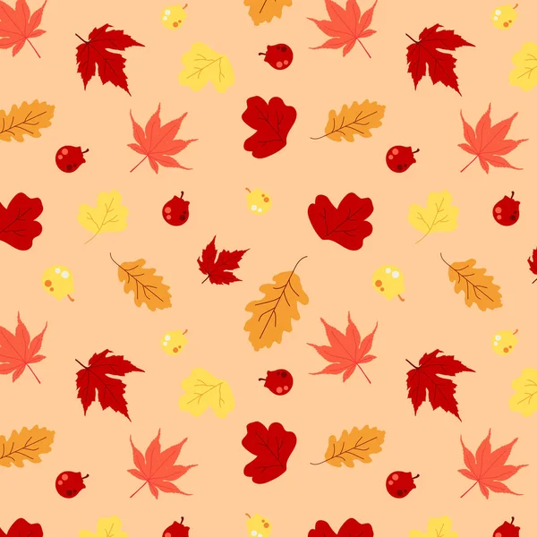 Padrão Outono Com Folhas Outono Diferentes Coloridas Com Bagas — Vetor de Stock
