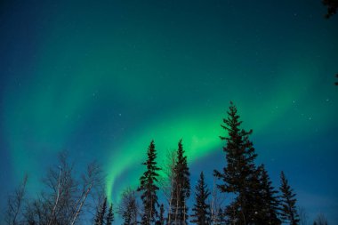 Aurora Borealis in Yellowknife, Northwest Territories, Canada
