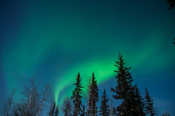 Aurora Borealis Yellowknife Northwest Territories Canada — Stock Photo, Image