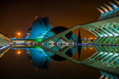 Valencia, İspanya 'da Sanat ve Bilim Şehri.