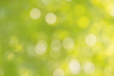 Taze yumuşak yeşil renk bokeh bush ağaç ve güneş ışığı
