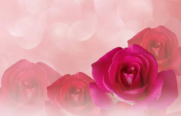 Románticas rosas rosadas y gota de agua abstracta pastel valentine bac —  Fotos de Stock