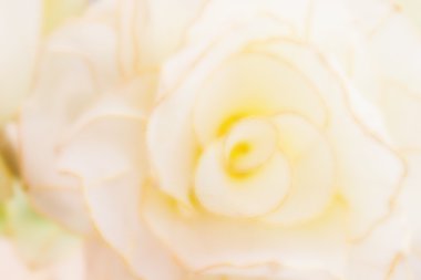 Bulanık arka plan çiçek şekli pastel ve krem rengi