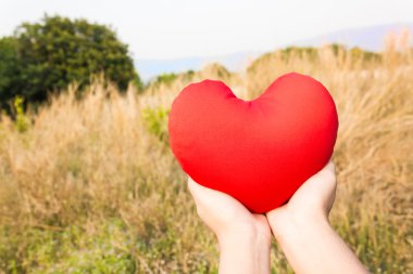 Kadın el yavaşça geri yabani otlar çiçek sahada kırmızı kalp tutun