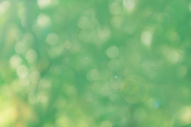 Kıvılcım ve darbe doğal bokeh romantik yumuşak soyut l içinde ağaç