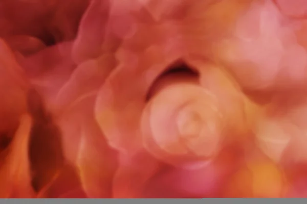 Abstracte onscherpe achtergrond bloem vorm zachte pastel — Stockfoto