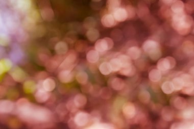 Romantik ruh hali soyut ışıltı bahar çiçeği arka plan