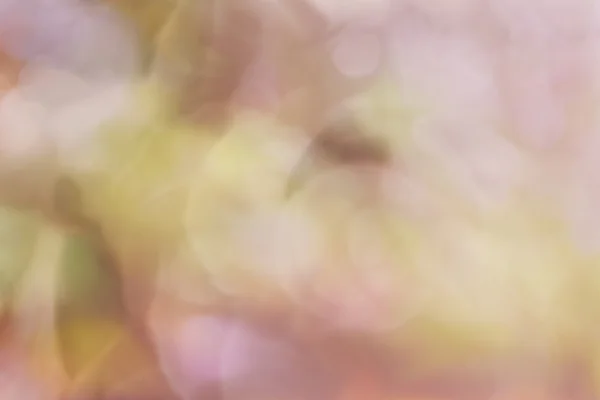 Abstrakte verschwommene Hintergrund Blume und Bokeh weiche Form in süß — Stockfoto