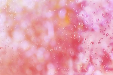 Arka arka plan bulanık sw aynada cam üzerinde yağmur damlası ile