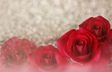 Romantic red roses on bokeh abstract valentine background clipart