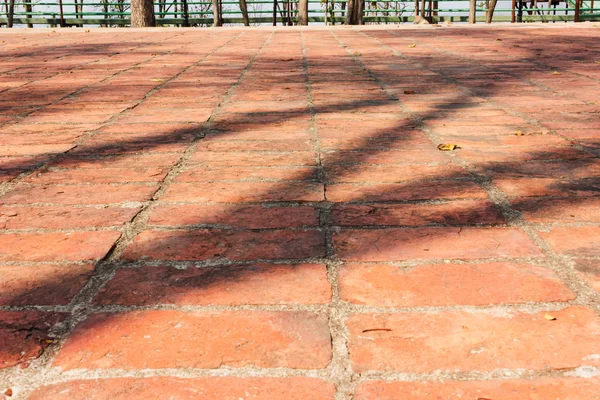 Gamla tegel täckt på golvet eller domstol med träd skugga i afternoo Stockbild