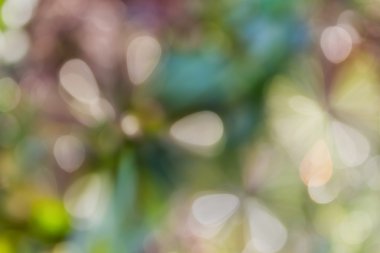 Renkli scolourful tatlı kıvılcım ve darbe soyut bahar blosso