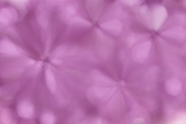 Flor borrosa abstracta forma suave pastel rosa flor violeta sp — Foto de Stock
