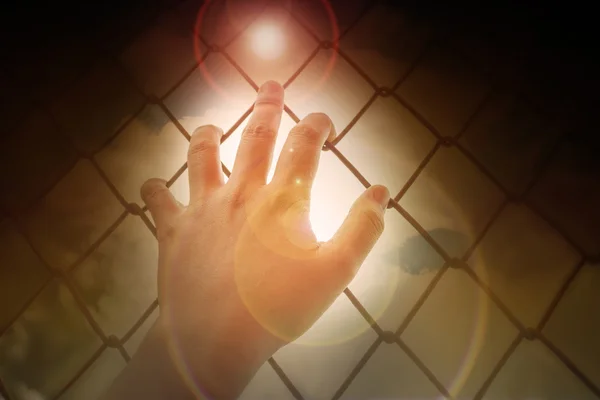 Ağaç ve geniş mavi güneşli gökyüzü b olan alıcı demir çubuk kadınlar el