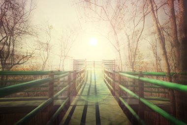 Uzun patika veya köprü sonunda ışığa beyaz sis, concep