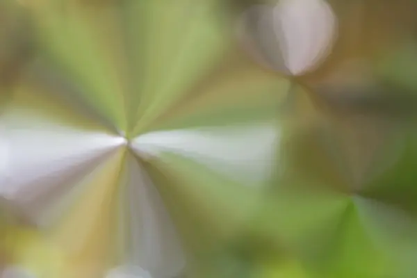 Abstracte zachte bloem patroon groen en wit romantische achtergrond — Stockfoto