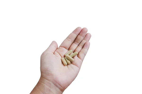 Moringa capsules op geïsoleerde hand op witte achtergrond — Stockfoto